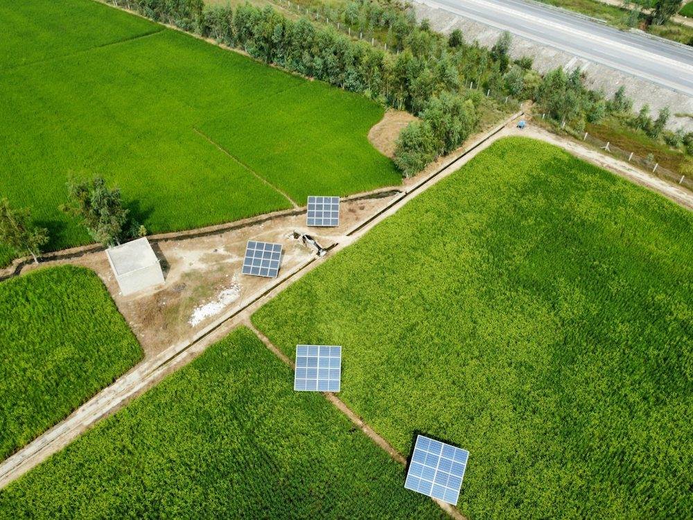 Solar panels seen from above