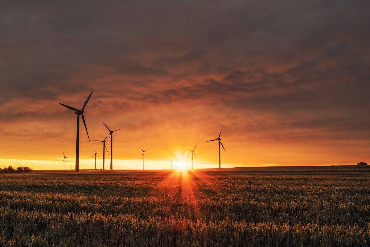 Wind turbine on grassland at golden hour